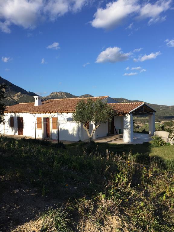 Villa Alba Esclusiva Villa Con Piscina A Sfioro E Vista Mozzafiato Sul Mare كوغنانا المظهر الخارجي الصورة