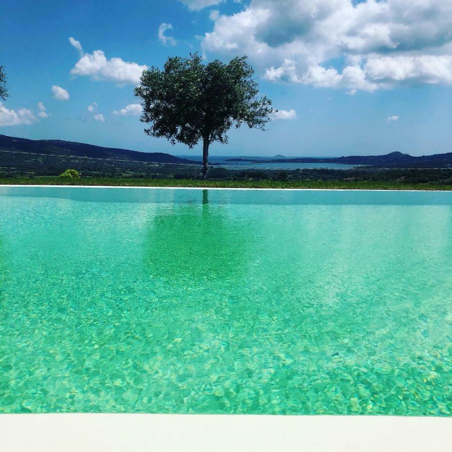 Villa Alba Esclusiva Villa Con Piscina A Sfioro E Vista Mozzafiato Sul Mare كوغنانا المظهر الخارجي الصورة
