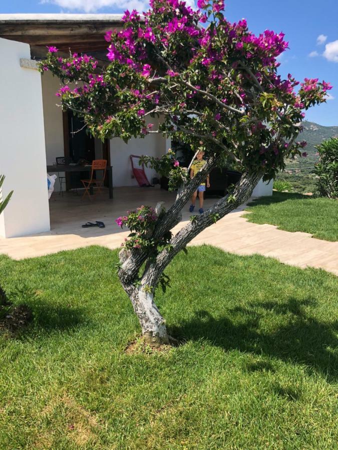 Villa Alba Esclusiva Villa Con Piscina A Sfioro E Vista Mozzafiato Sul Mare كوغنانا المظهر الخارجي الصورة